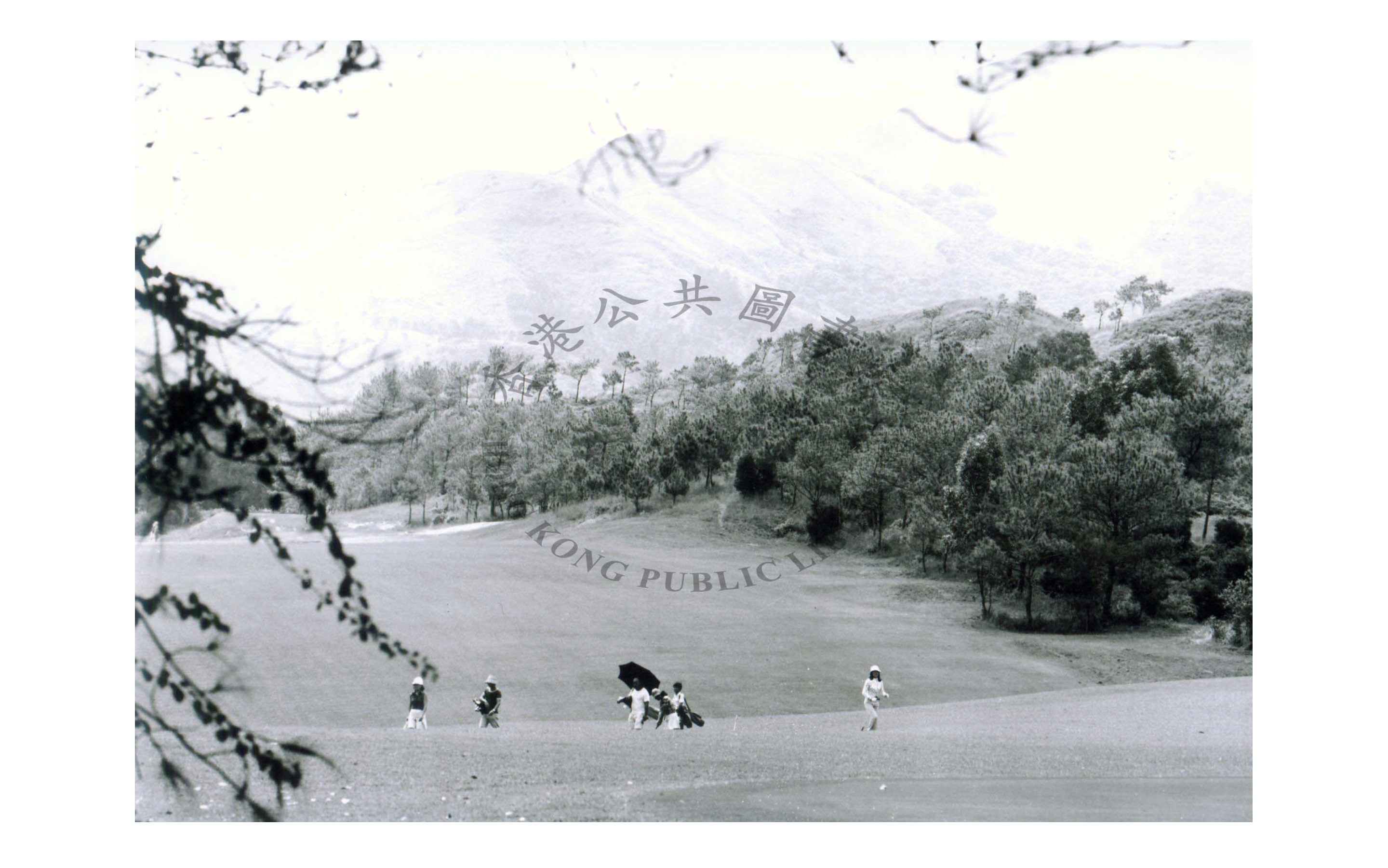 1977年的粉嶺高爾夫球場，相中見到有穿著高爾夫球服的人到球場打球。